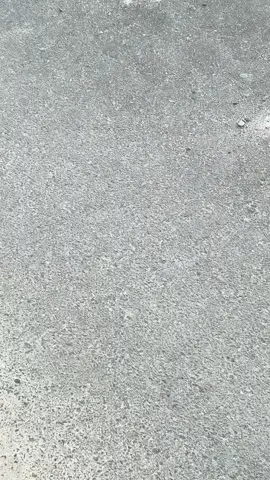 tentrem #jepang #kenshuseijapan🇮🇩🇯🇵🎌 #japan #jishusei🇯🇵🇲🇨 #kenshuuseijapan🇮🇩🇯🇵 #foryou #fypdonggggggg #fyp #fyppppppppppppppppppppppp 