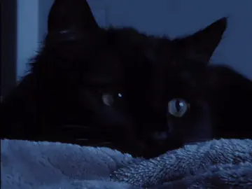 Song: Ánh mắt em  #nhactrung #viral 