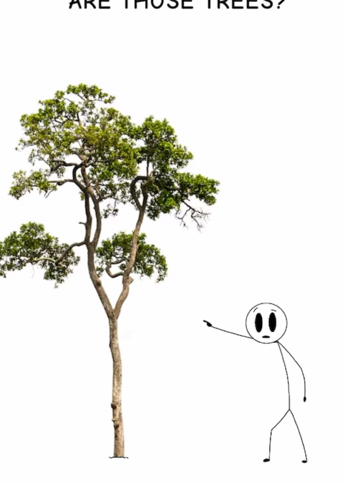 Anyone remember this audio? 🙏 #fy #fyp #foryou #foryoupage #funny #meme #animation #animationmeme 