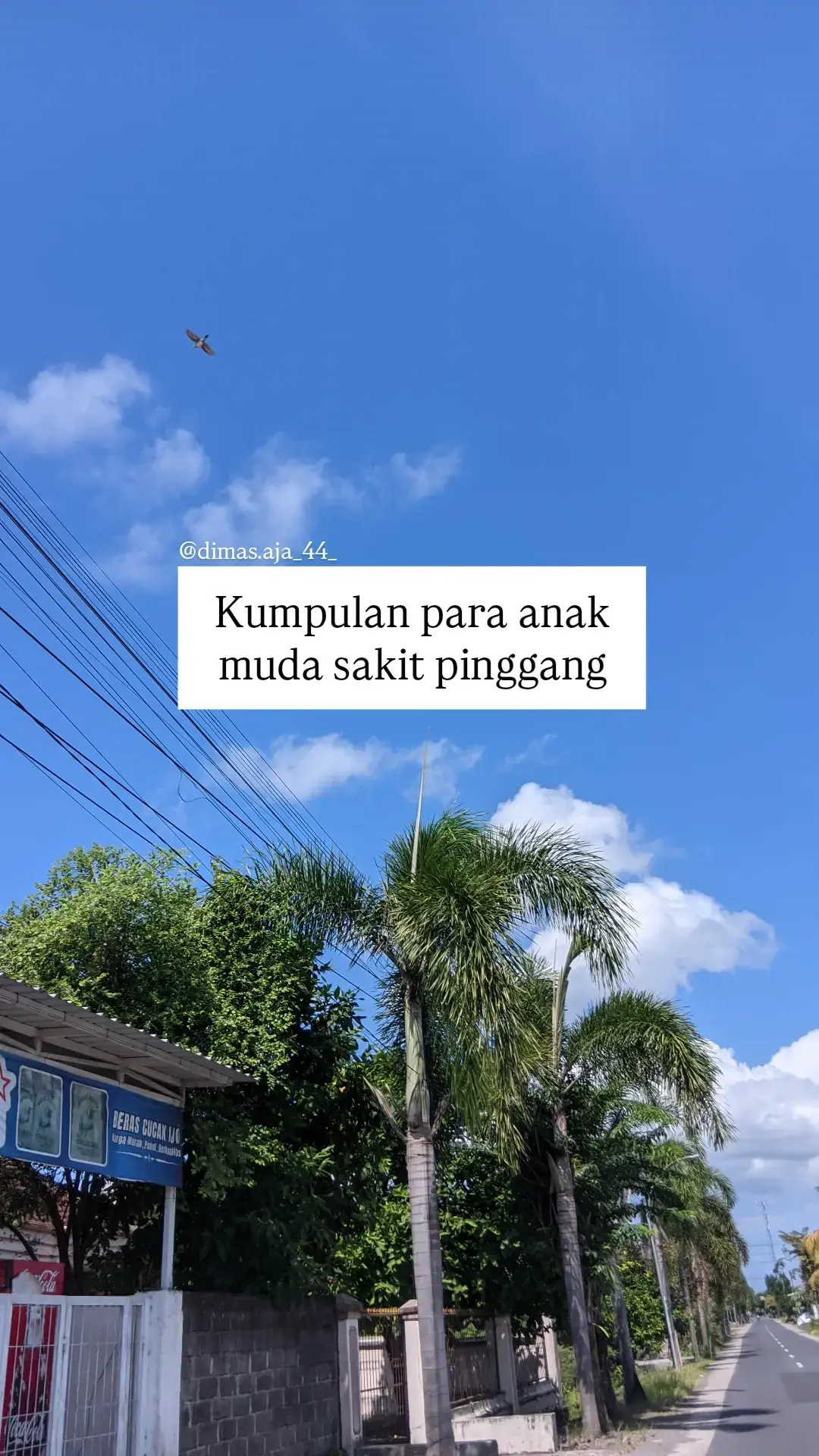 .
