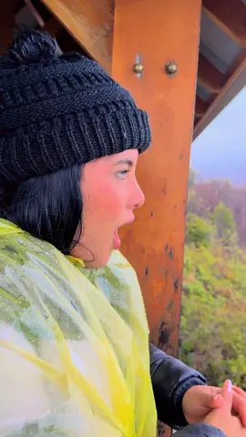 #video #viral_video #calafate #glaciarperitomoreno 
