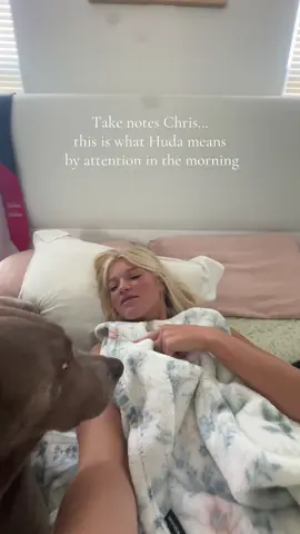 I think Huda needs a lab bec you are guaranteed morning attention #viral #funny #LoveIsland #hudaloveisland 