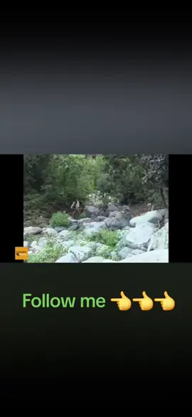 #views #eritreantiktok🇪🇷🇪🇷habesha #ethiopian_tik_tok🇪🇹🇪🇹🇪🇹🇪🇹 #tigraytiktok #tigre #wedihambir #afewerkighrimay #neshneshtv 