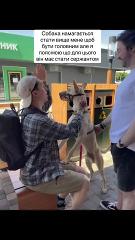 #хейтспіч #собака 