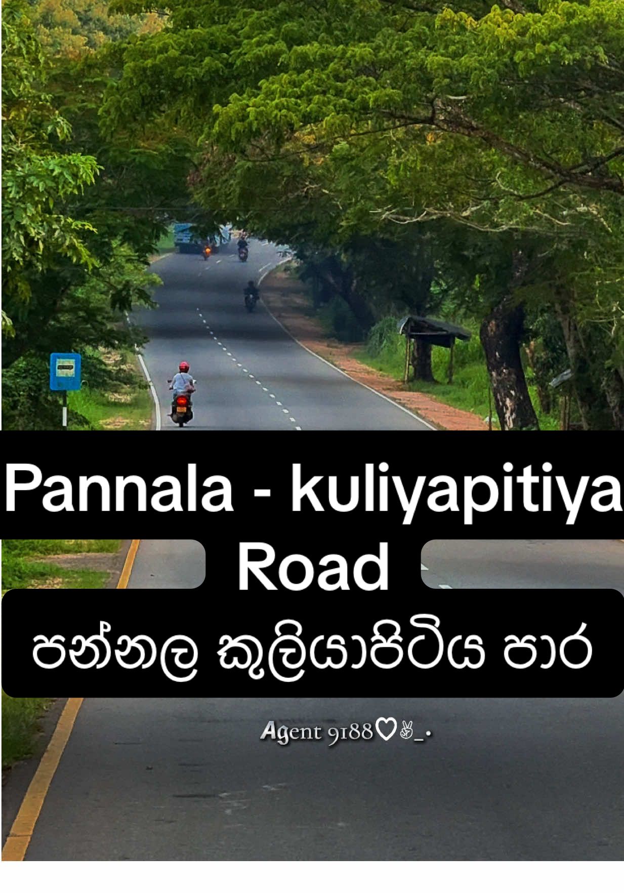 🅿️📍#pannala #kuliyapitiya  ලංකාවේ සුන්දර මෙන් ම මනස්කාන්ත පරිසරය විදින්න යන්න ඔබේ හොදම තේරීම • Foreign Round Tours • Airport Drops Or Pick Up • Company Outing & Family Outing • Wedding Hires • Local Hires Tour&Transport providers. 🍂🍄🍁🍃🌻🧗🦋‍🏊‍🏝️🏕️🐾️🌿 Travel & Photography රට වටේ යන්න,සුන්දරත්වය විදින්න ,𝗳𝘂𝗻 එකක් ගන්න. සුවිශේෂී මිළ ගනන්, සුව පහසු ,ආරක්ශිත ගමනක් අර්ථවත් ගමනක් යන්න එන්න අපි එක්ක අපී#lakmaltravels  #fyp #foryou #trending #foryoupage #viral #tour #travelpartner 