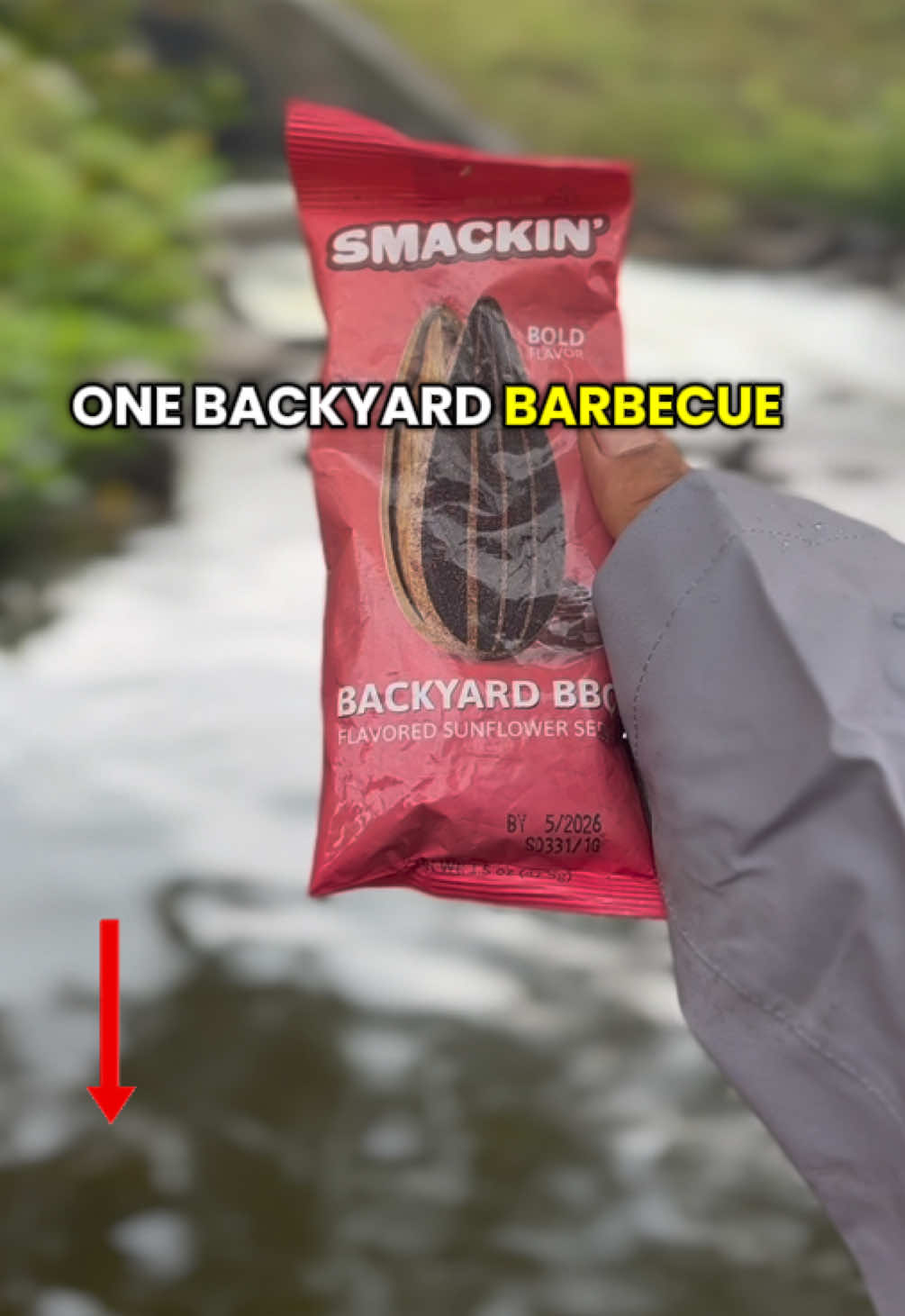 33% OFF SMACKIN’ 6 PACK SAMPLER #DEALSFORYOUDAYS #SMACKIN #SUNFLOWERSEEDS #FLASHSALE #OGORIGINAL #BACKYARDBBQ #DILLPICKLE #CRACKEDPEPPER #GARLICPARMESAN #CINNIMONCHURRO 