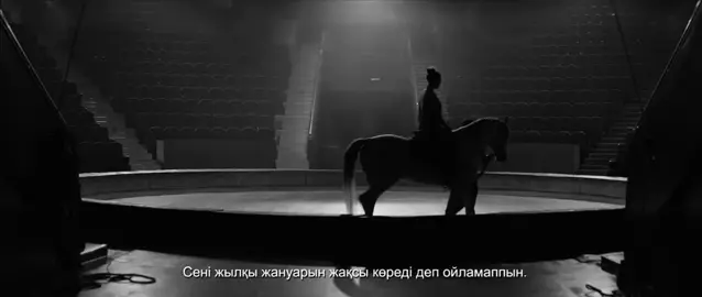 люблю лошадей 