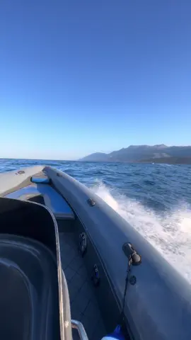🫡🔥#speedboat #sea #himara #Summer #albania🇦🇱 #fyp #videoviral #boatlife 