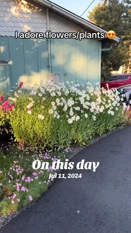 #onthisday 