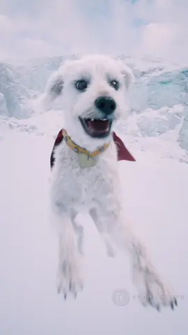 Walk, run, or fly to the nearest theater, #Superman is playing RIGHT NOW! @Superman @DC 