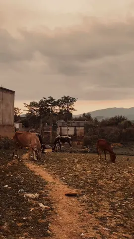 بیا دے ھم پریخوم بے اسری دہ یتیمانو پشان 🥹💔#sadpoetry #fypシ゚viral #100kviews 