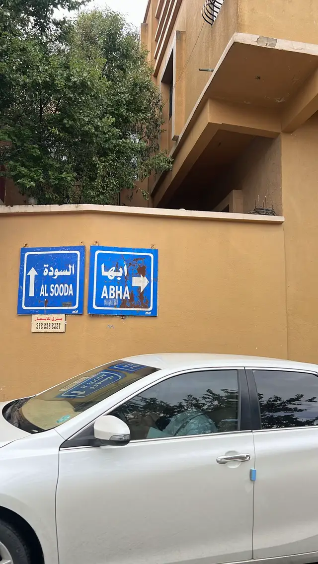 #ابها #الجنوب #مزرعة_الفراوله #اكسبلور #اكسبلورexplore 