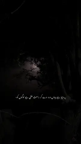 #fyp 