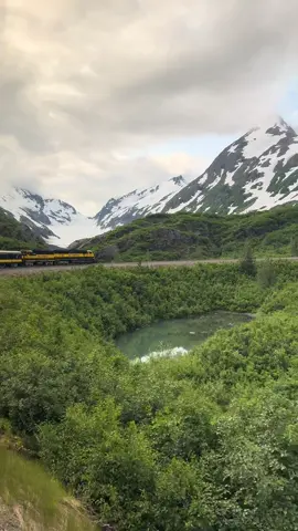 ALASKA, USA📍#alaskawilderness #alaskansummer #wildlife #mountains #nature #alaskarailroad  #lastfrontier #midnightsun #alaska #kenaifjords #marinelife #fyp 