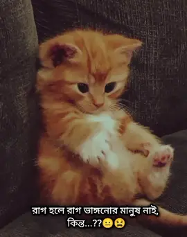 হা হা হা এটাই বাস্তব...।।😌😌😌