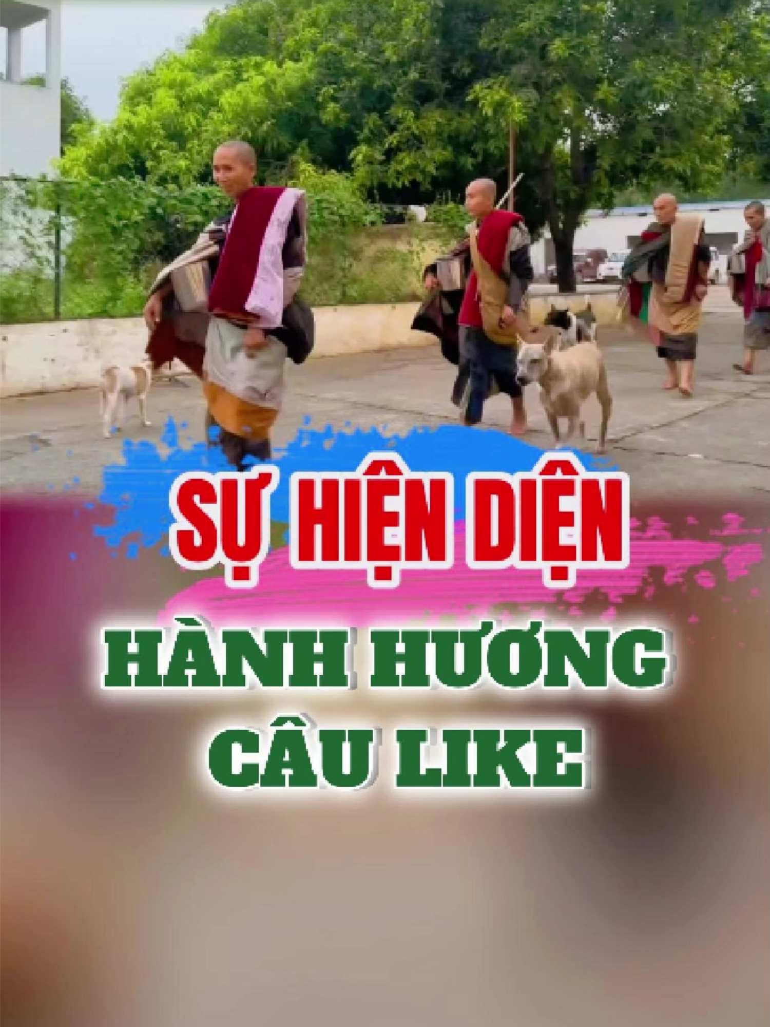Gia hạn visa không phải để tu, mà là để tiếp tục… ăn chực nằm chờ, tụ tập đám đông, và duy trì “sự hiện diện tâm linh” trong mắt đám đông u mê ảo tưởng. #suthichminhtue🙏 #suminhtue #thichminhtuemoinhat #xuhuong #trending #doanvanbau #ume #LeKhaGiap #foryou