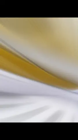 💰Preço[R$69,99] -50% 🛒Uzze Sport Chuteira Society Impactor Adulto Juvenil Sosaite Sintético Costurada Novo + Meião Relógio Caneleira  🎁Cupom 50% OFF para todo Novo Usuário! https://onelink.shein.com/14/4udadly9ssgk #Useomeucódigo2VZDN #Vemdáumaolhadanasnovidades #Curte_mim_segue_compartilha 