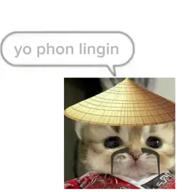 #Meme #MemeCut #lingling #cat 
