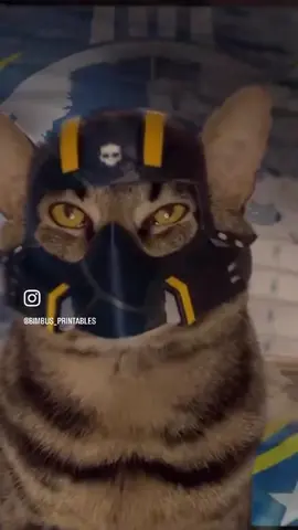 He’ll diver bimbus again :0 #bimbusprintables #catsoftiktok #3dprinting #helldivers2 