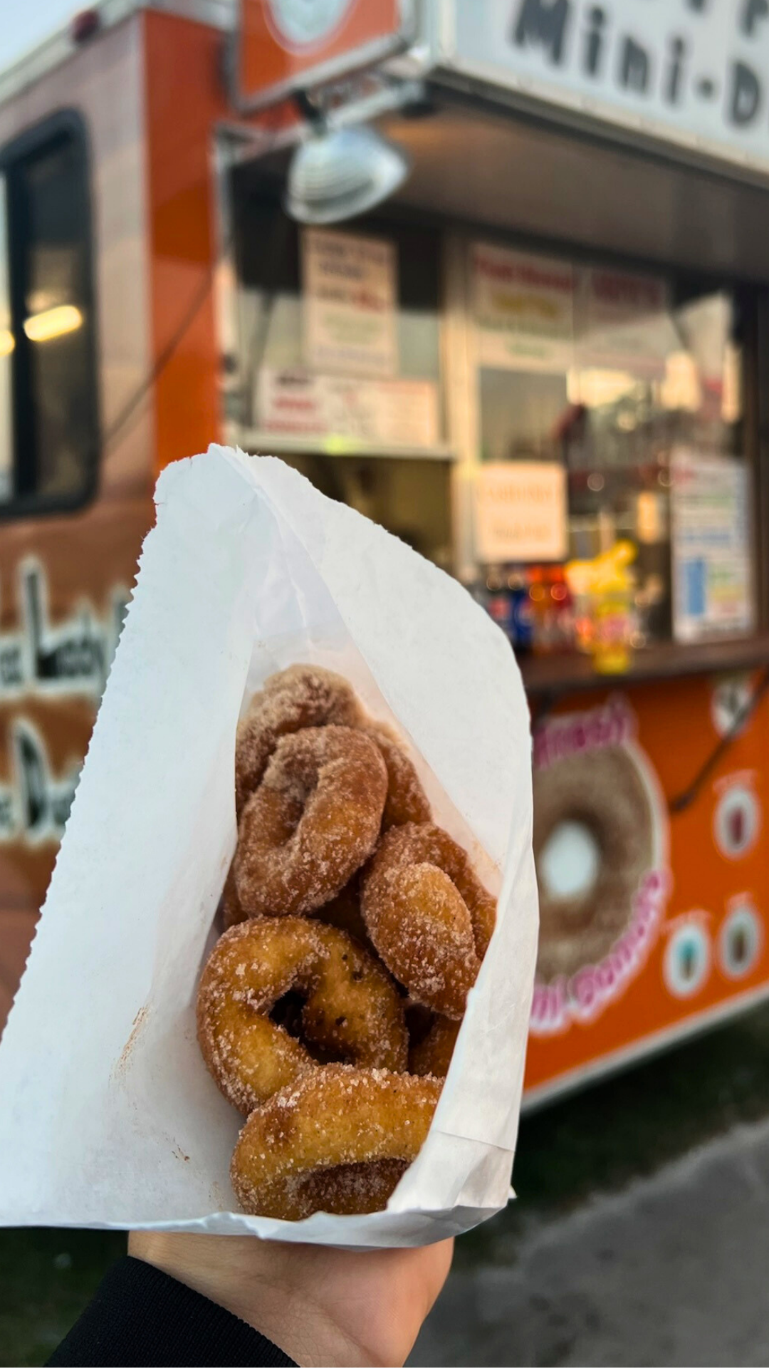 What Fair Food Do You Crave?🎡🍗 #SLCFair