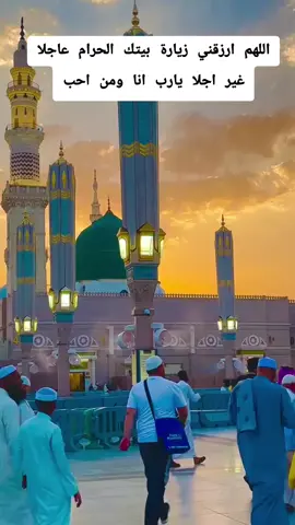 #يضعون_لمن_تمشون_لارض_النبي_المأمون #مدح_الرسول #مديح_النبي❤️❤️❤️صلي_الله_عليه_وسلم😍😍😍 