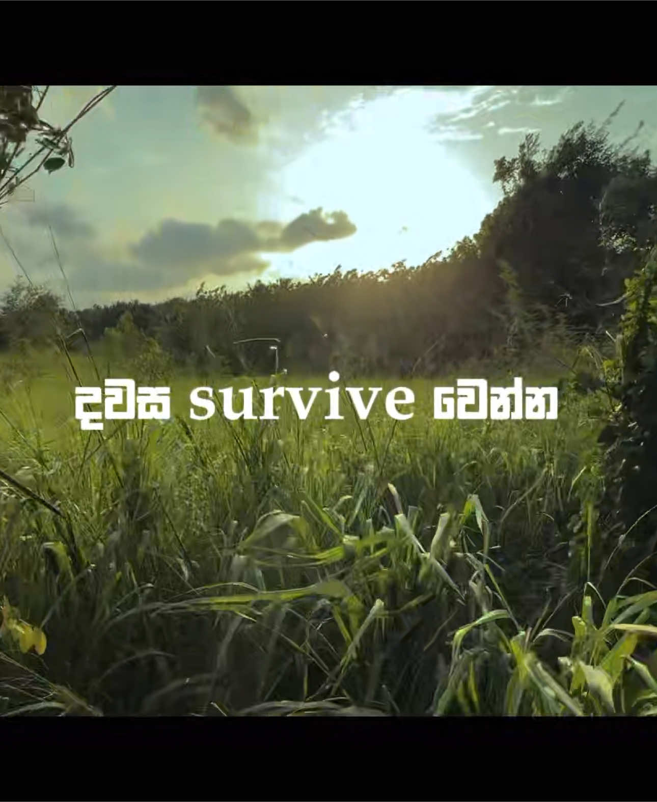 බලෙන් positive නොවී වෙන දේවල් පිලිගන්න  #dullive #cinematography #storytelling #acceptance 
