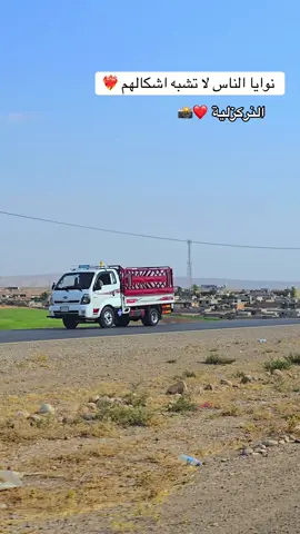 #CapCut #النركزليه #الديره #الشيخان #الموصل #تصويري #💔 #تصميم_فيديوهات🎶🎤🎬 #❤️‍🔥 