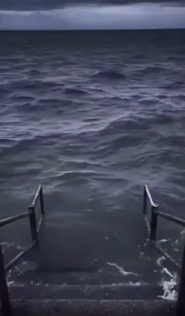 海のやつ....#edit#caredit#cupcat#背景海のやつ#流行り#funk#phonk