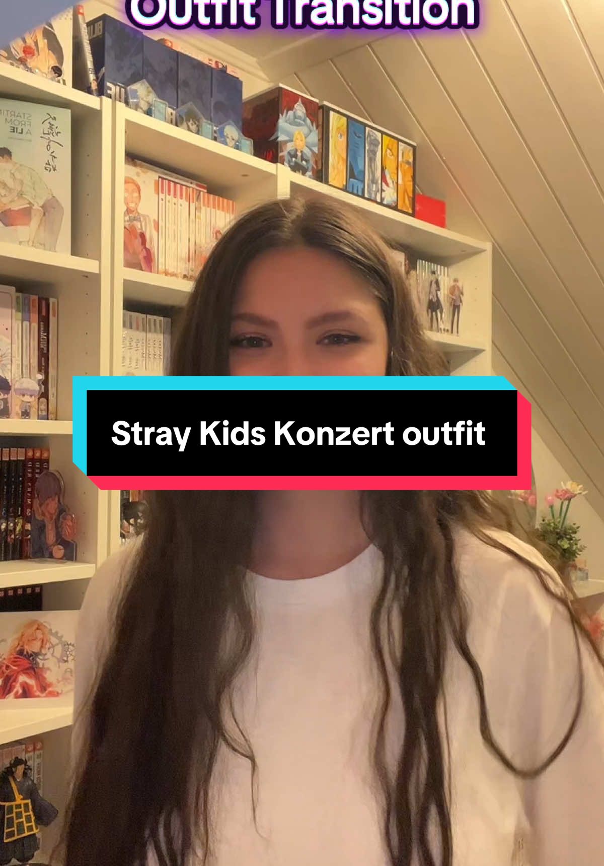 Stray Kids Konzert Amsterdam 2025 #straykidsworlddomination #straykidsstay #straykids #straykidsedit #bangchan 