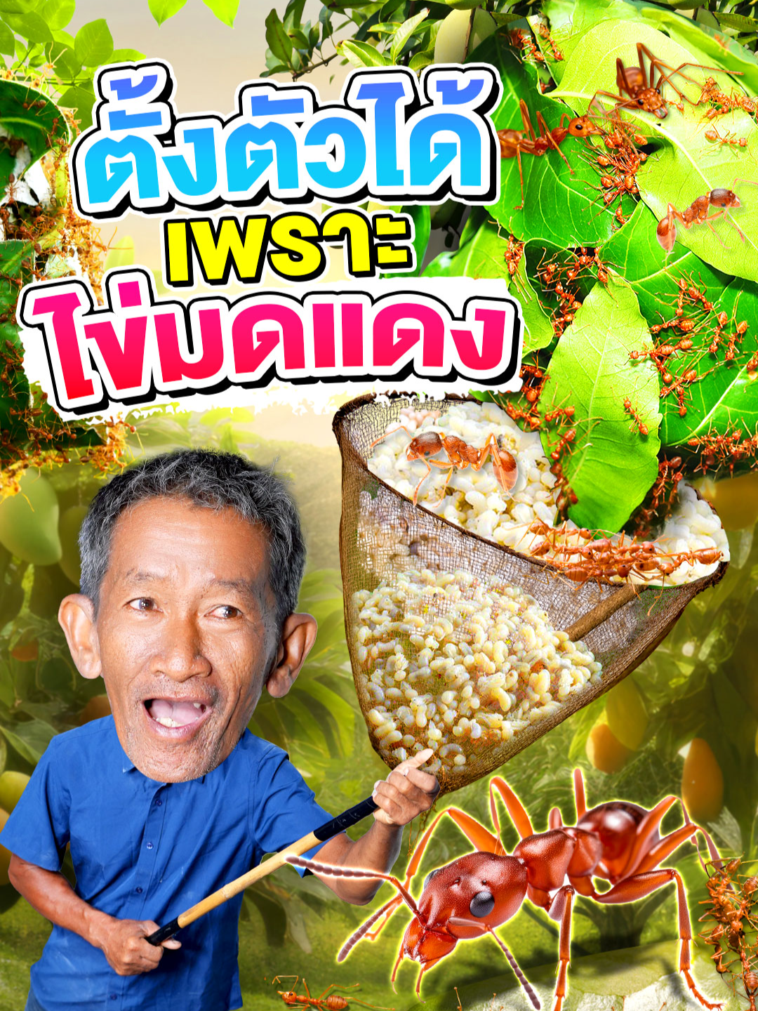 จากของป่าธรรมดา กลายเป็นรายได้หลักของครอบครัว! ไข่มดแดงไม่ใช่แค่อาหาร แต่มันคือโอกาส 🍽️💰 #ลุงบุญชูsuper100 #คนเลี้ยงมดแดง #เลี้ยงมดแดง #ไข่มดแดง #ไข่มดแดงสร้างอาชีพ #ไข่มดแดงเงินล้าน #ฟาร์มไข่มดแดง #เมนูไข่มดแดงใส่เห็ด #หมกไข่มดแดง #มดแดง #รังมดแดง #อัจฉริยะเกินร้อย #Super100 #บันเทิงTiktok #Tiktokคนบันเทิง #เทรนด์Tiktok #เทรนด์วันนี้ #ภูมิปัญญาชาวบ้าน💕