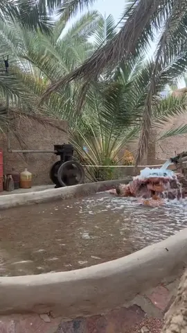 #يادار وين البيوت الي لها رنه #اكسبلور 