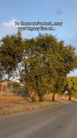#fyp #trendingvideo #emtee #fanpage 