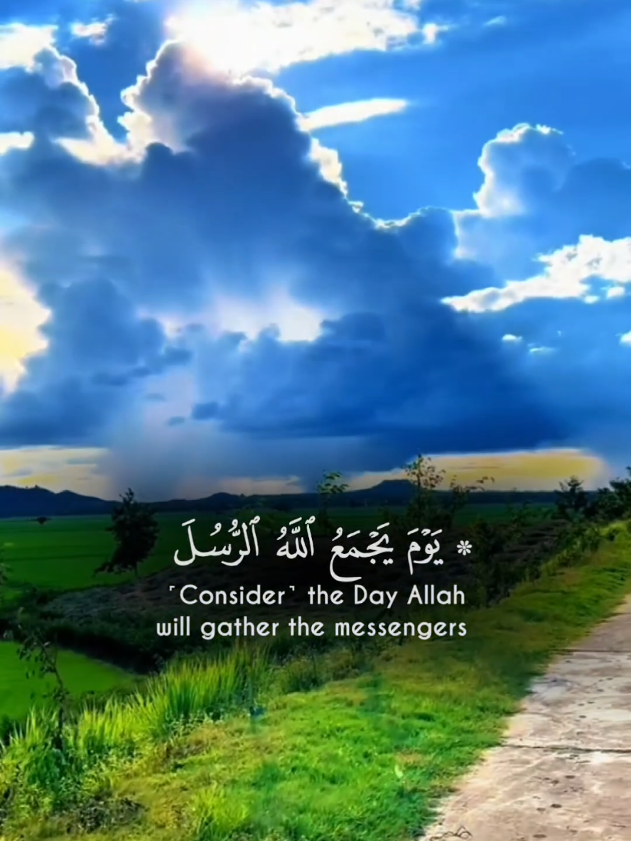 سورة المائدة تلاوة خاشعة للقارئ سعود الشريم تلاوة مؤثرة من سورة المائدة بصوت القارئ الشيخ سعود الشريم، تملأ القلب سكينة ونورًا. استمع بخشوع وتأمل في معاني كلام الله عز وجل. Surah Al-Ma’idah – Soothing Recitation by Saud Al-Shuraim A touching recitation from Surah Al-Ma’idah by Sheikh Saud Al-Shuraim. Let the peaceful words of the Qur’an fill your heart with light and tranquility. #سورة_المائدة #سعود_الشريم #تلاوة #القرآن_الكريم #روحانيات #صوت_جميل #quran #quranrecitation #suraalmaida #saudshuraim #islamic_video #explore #يكسبلور #fyp #foryou #foryoupage  #CapCut 