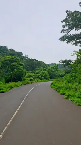 Bosona magariisa cina daandii irraa bareedee muldhatu  #iluuabbaabooraa