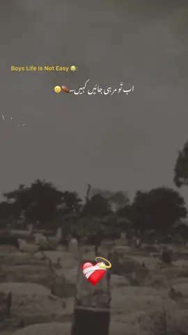 My last wish 😭💔/-@اسدシ @shehrozashraf07  #grow #unfreezemyacount #fyp #tren #grow #vairal #fyp #views #grow #fyp #vairal #fyp #unfreez #tren #vairal 