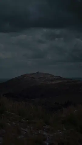 ‏أشعُر أنني بحاجة مُستمرة لشُكر الله، أشكره على لُطفه الخفي، وعلى جميل أقداره التي تتداخل في الوقت المُناسب لتنقذني دائمًا🤍