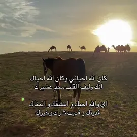 ❤️ #لايك #اكسبلورexplore #fyp #الحب #قصيد #شعر #foryou 