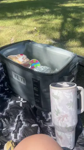 That’s my life… summer picnic lunches after swimming lessons and shooting the course 💕💕 #Summer #thatsmylife #yeti #hydrojug #archery #swimming 