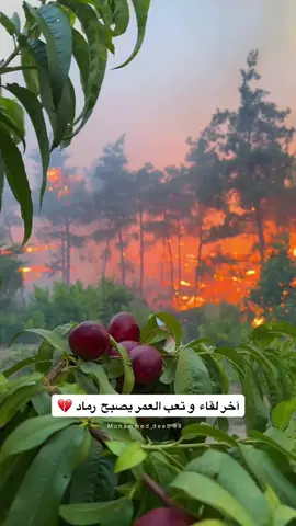 أصعب فراق 💔#الساحل_السوري #حسن_حلبي #ابن_مدينة_حلب_الشهباء #حلبي_والأصل 