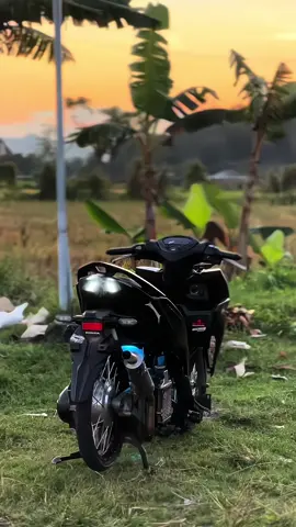 🌻🌻#beranda#vario125#ring17style🇹🇭#fypage#xyzbcafypシ゚ 
