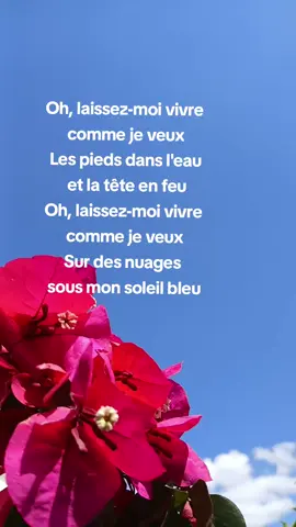 Soleil Bleu,Luiza, lyrics#pourtoi #songslyrics   #fyp #foryou #luiza #chanson #parole 
