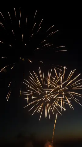 Feu d’artifesses 💨 #pourtoi #fyp #foryou #feuxdartifices #feux #fireworks #pets #fart #tendance 