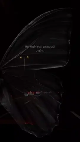 #CapCut 