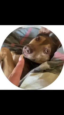 Не розумію, він радий цьому чи ні😂