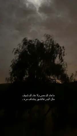 #explore #fyp #اكسبلور #النماص #قمراء #قمر #vi 