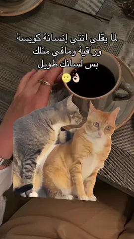 #Meme #MemeCut #شو_حلوين_هالقطط #😂💔 