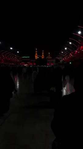 لا تردني لدياري ..#ياحسين #حبيبي_حُسين  #كربلاء  
