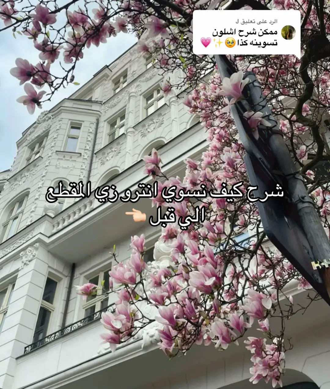 #explore #بنوتات #انترو #شرح #يوتيوب #تيك_توك #intro #sikncare #الشعب_الصيني_ماله_حل😂😂 #makeup #عناية #رياضة 