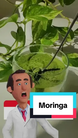 O que acontece se tomar moringa todo dia 🍵 . . . #moringa #saude 