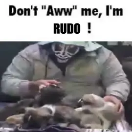 Me gusta ver videos de luchadores fuera del ring, nos muestra otra parte de ellos #lapark #corecore #luchalibre #luchalibremexicana #shitpost #silly #fyp 